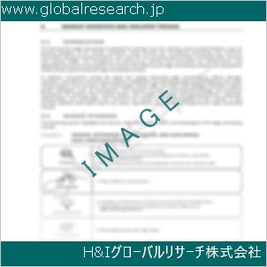 グローバルリサーチ調査資料のイメージ